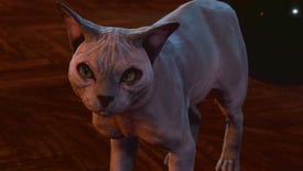 A Baldur's Gate 3 cat with no hair